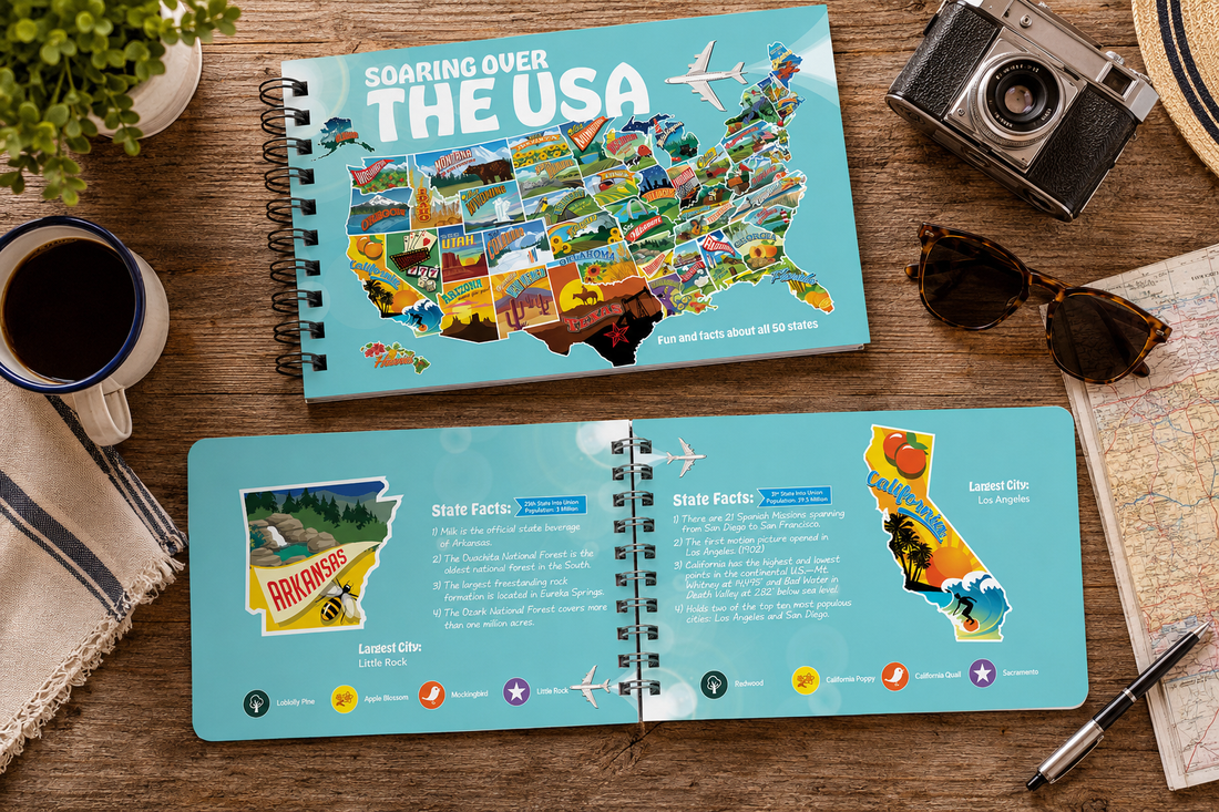 Soaring Over the USA - Fun Facts About the USA for Kids